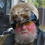 Racoon man