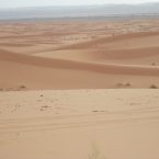 dunes